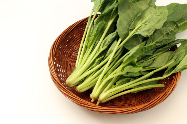 青汁はなぜ身体にいいのか?苦行から美味に進化した“緑の粉末”を科学&本音レビュー