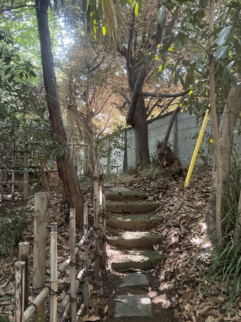 庭園の遊歩道は真昼間なのに薄暗い。蜘蛛の巣だらけ
