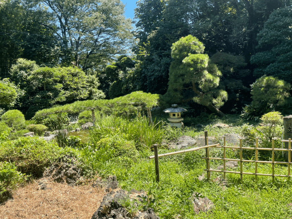 日吉の森庭園　色んな草木が生い茂っている