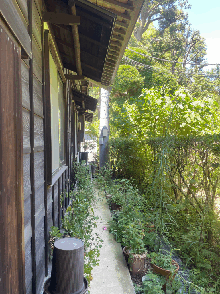 日吉の森庭園美術館の美術館にある田邊邸古民家