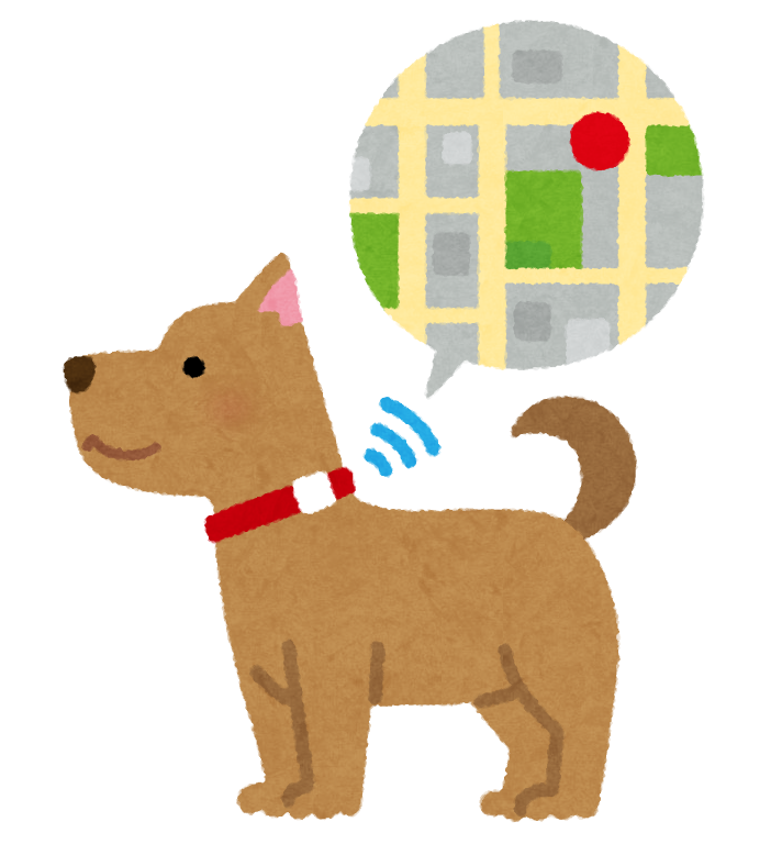 GPSをつけている犬の画像