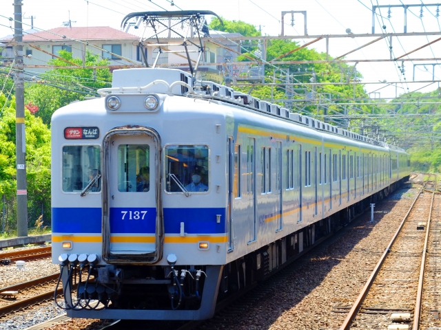 みさき公園が閉園した理由と現在の跡地は？――家族や遠足の記憶をたどる思い出の遊園地