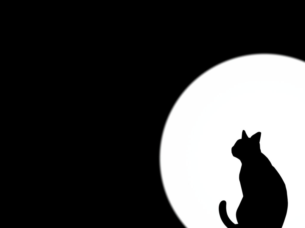 【衝撃の実話】CIAが猫をスパイに仕立てた―狂気の極北プロジェクト「アコースティック・キティ作戦」完全解剖【都市伝説&機密文書】