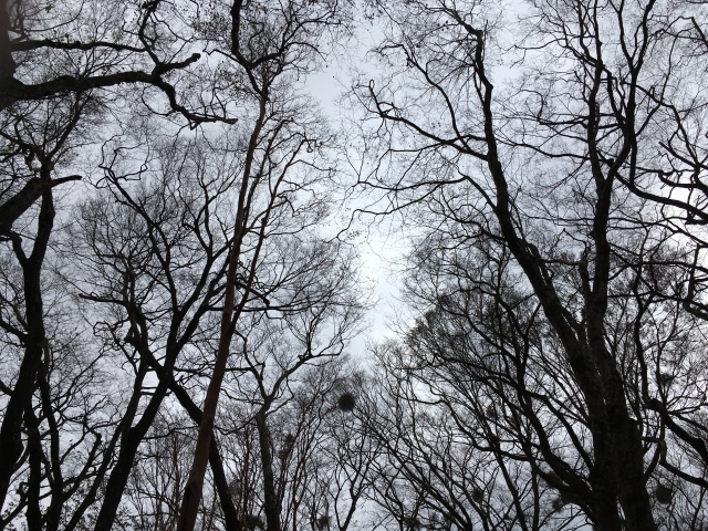 Xファイル『第14話:性を曲げるもの(Gender Bender)』感想・解説|性別が変わる”触れてあやめる存在”──今じゃ絶対放送できない異色回を振り返る