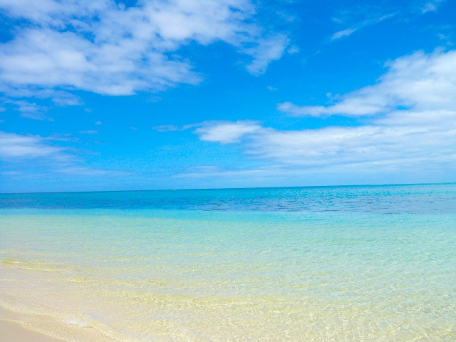 正月になぜ皿を割る？世界の年越し「縁起メシ」と謎ルーティンを調べたら、人類の本音が見えた