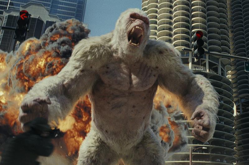 【感想】『ランペイジ』はロック様とゴリラを愛でる映画。脳みそを空っぽにして「街破壊」を楽しむ贅沢な時間